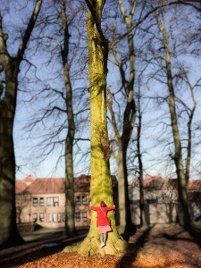 Around Bruges 8