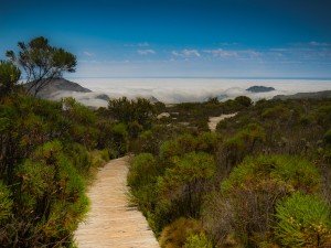 Table Mountain