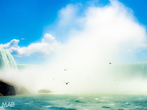 Niagara Falls: From Canada, From the Bottom 2