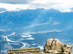 A Marmots Life: Whistlers Mountain