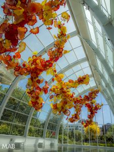 Chihuly Garden and Glass 3