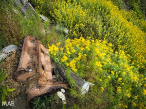Rusting Away