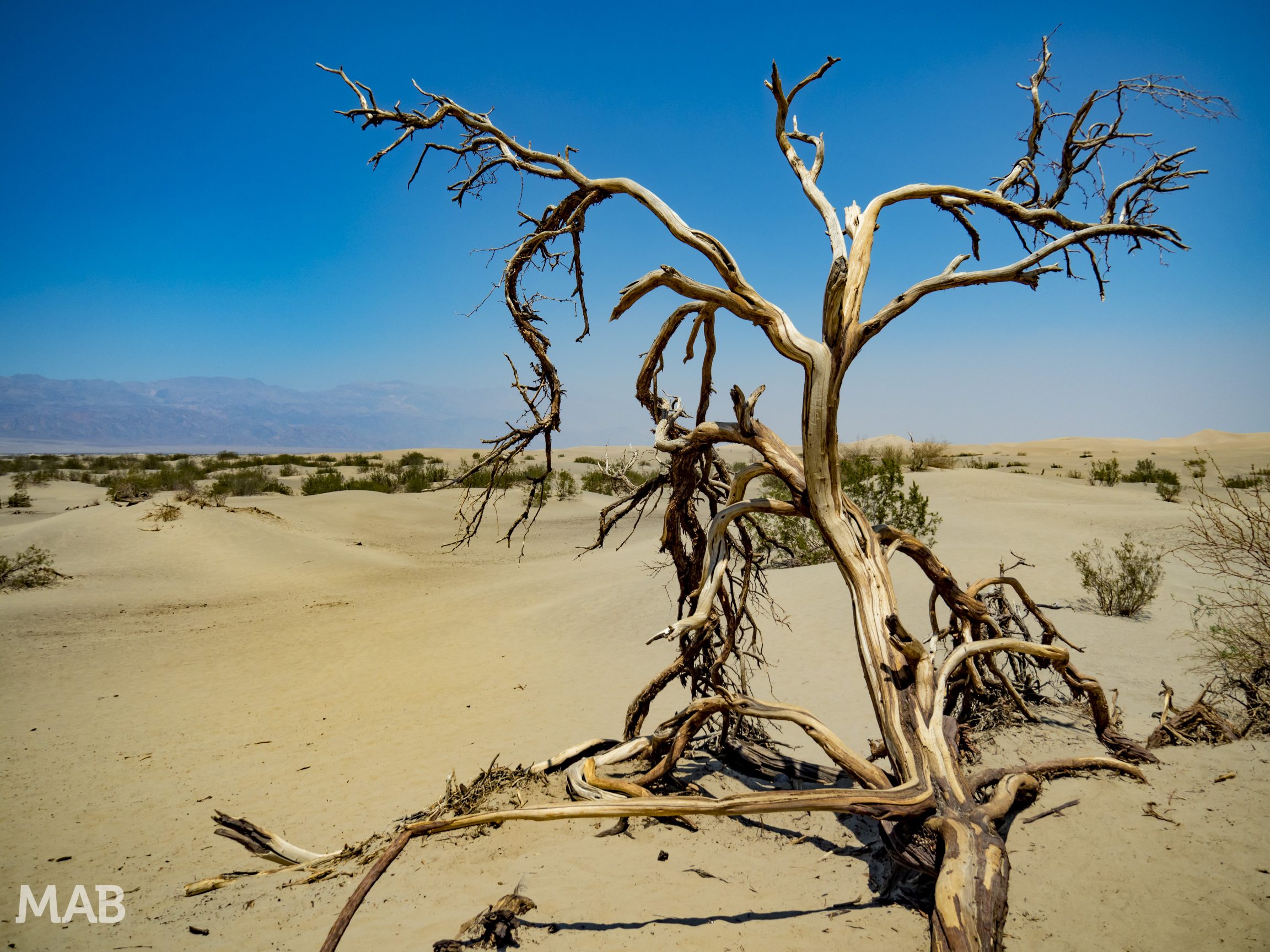 Mesquite Flat Sand Dunes 2