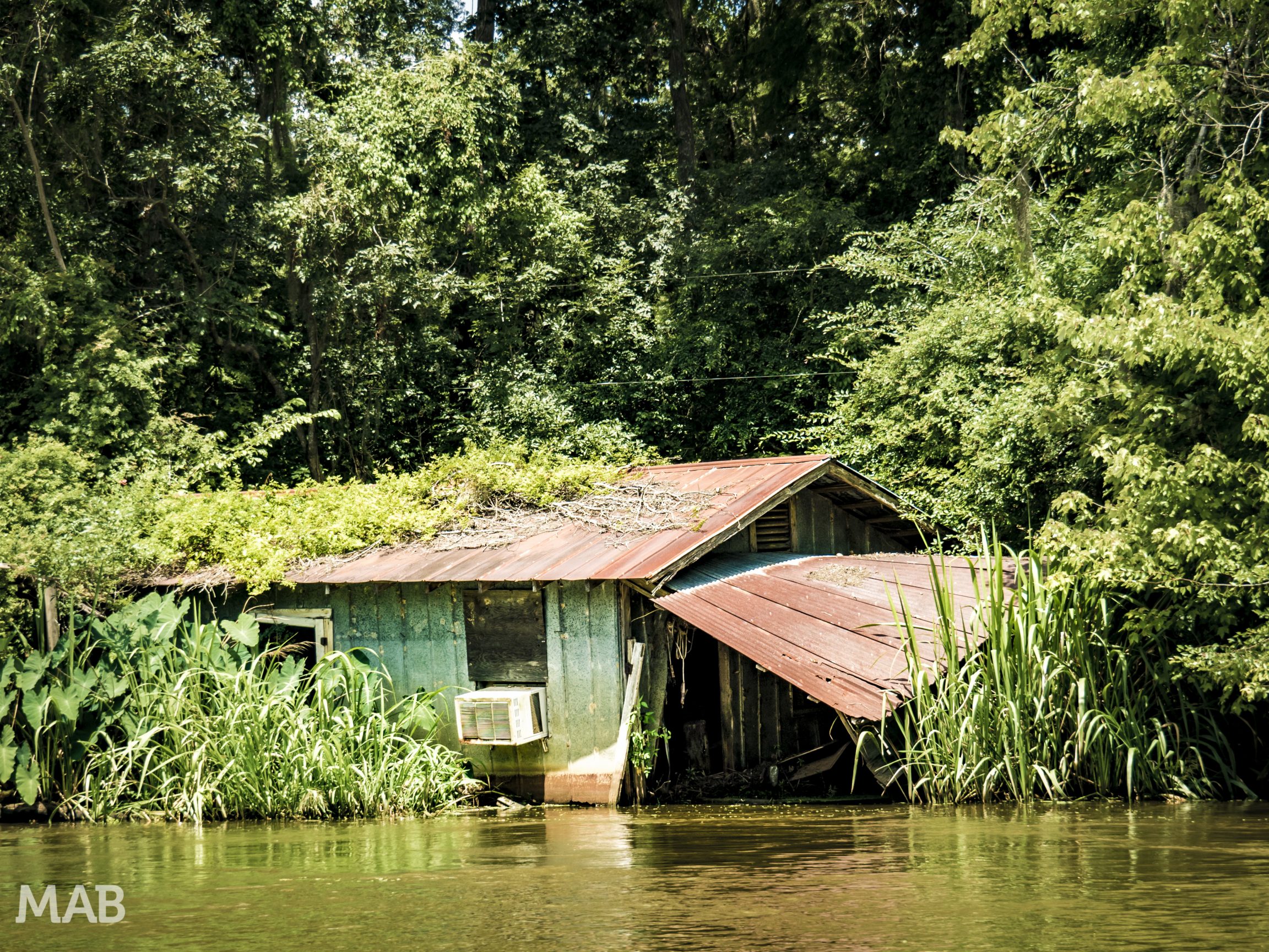 House Hunt for Swamp Getaway