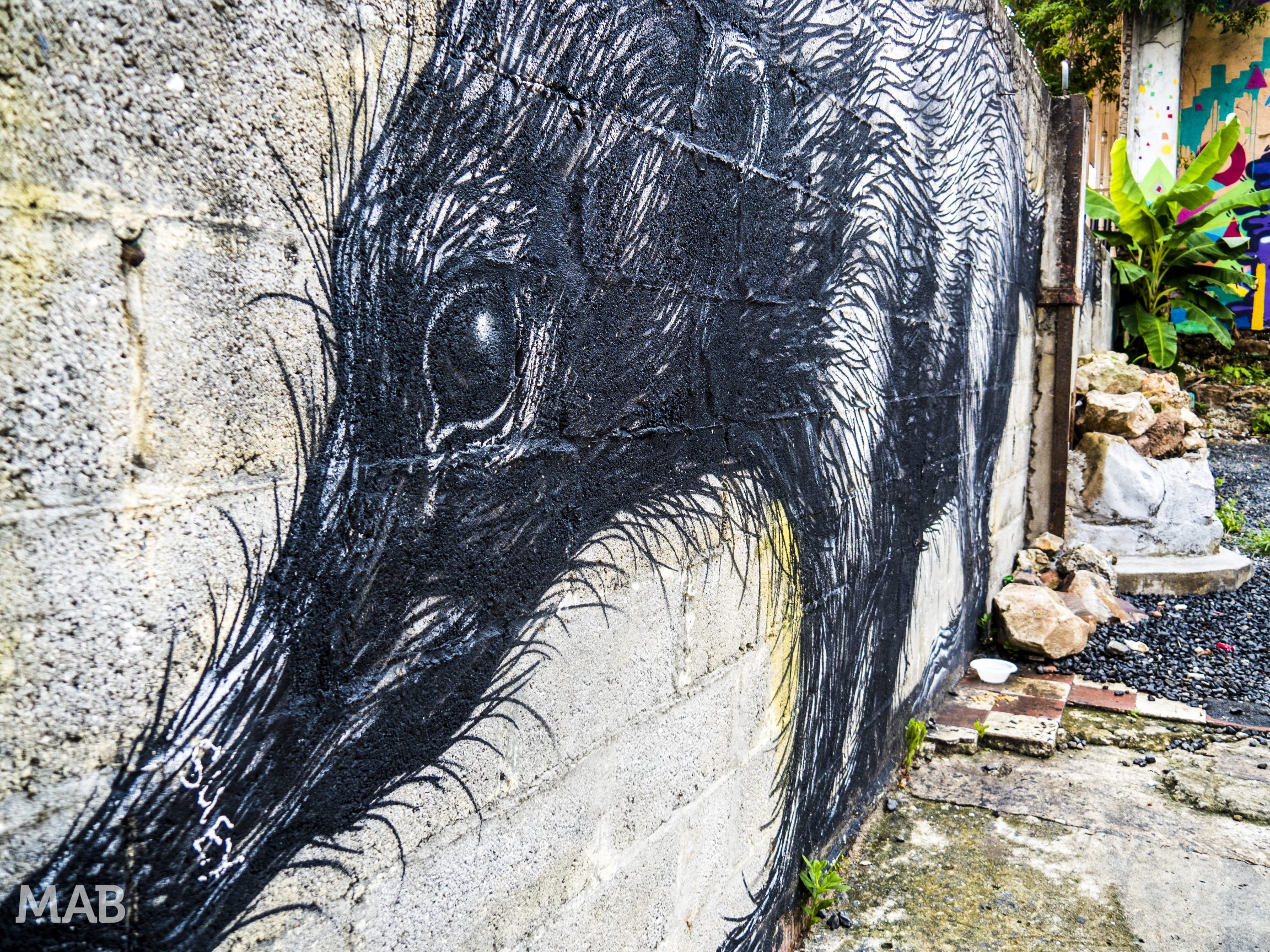 Street Art Panama City 3