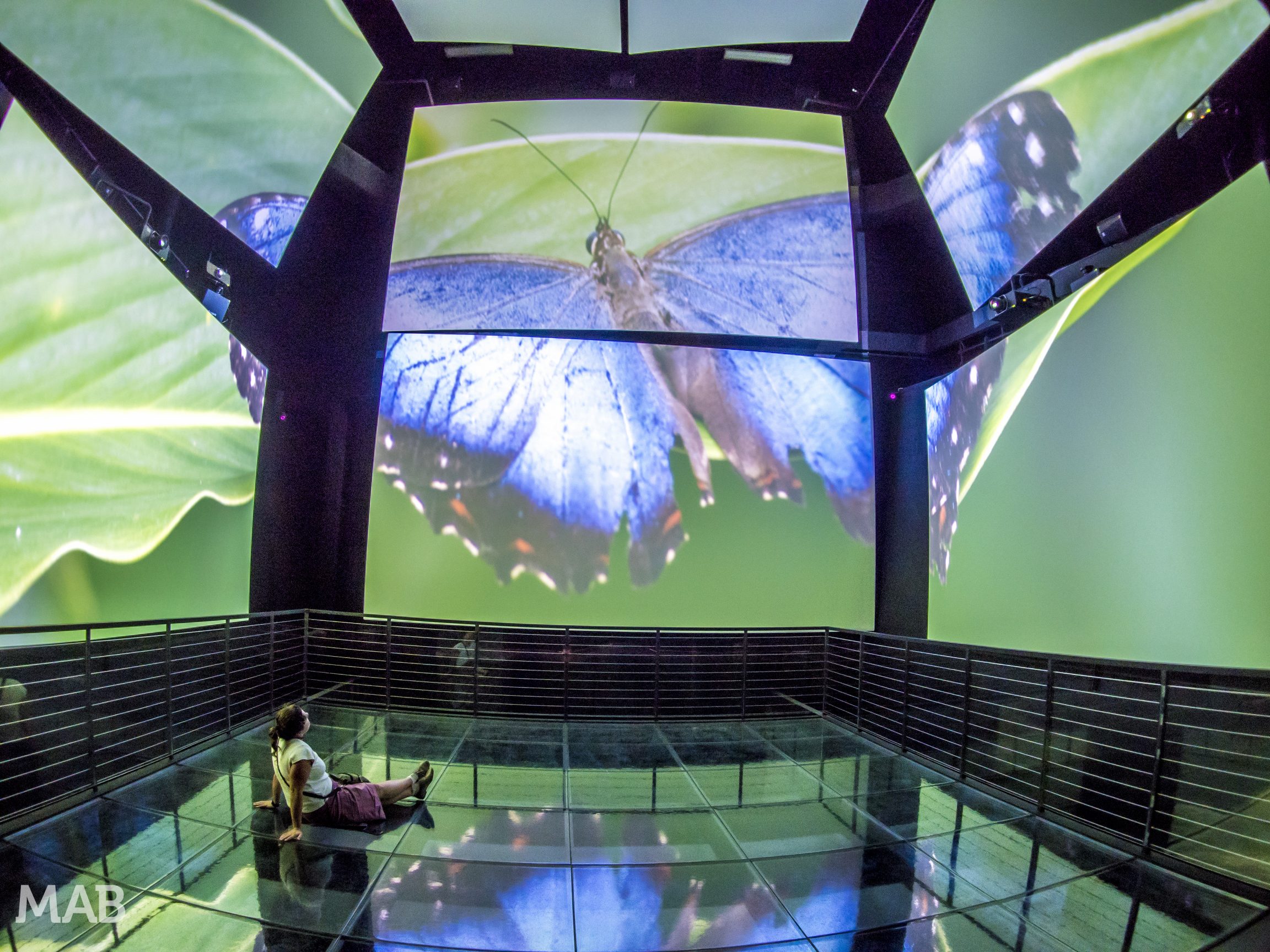 Bio Museo Panama City
